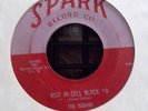 THE ROBINS Riot In Cell Block #9 SPARK 45 rpm RARE