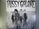 Pussy Galore - Groovy Hate Fuck EP 1986 Jon Spencer
