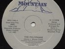 THE POLYPHASE - RARE MIAMI BOOGIE FUNK- MOUNTAIN 12