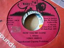 Leroy Sibbles Now You're Gone Killer Roots 7