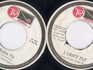 Toney & The Sweet Bunch-Fly Robin Fly (TR Groovemaster)