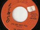 TORQUES it's me not you KILLER GARAGE PUNK G-45 HEAR
