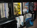OUT OF ORDER   DARK SHEEP   THE WHITNEY TUNE   RARE '93