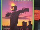 Sonic Youth BAD MOOD RISING Homestead LP w/ insert