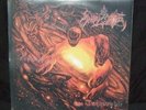 ANGEL CORPSE The Inexorable LP revenge proclamation