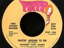 TOWNES VAN ZANDT Waitin Around unplayed Rare Promo 45