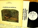 PROMO   PEARLS BEFORE SWINE   BEAUTIFUL LIES Folk Psych