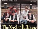 NASHVILLE TEENS 