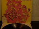 FRANTIC CONCEPTION GATEFOLD LIZARD PSYCH WHITE LABEL