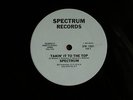 Spectrum - Takin' It To The Top - RARE BOOGIE-FUNK 80'