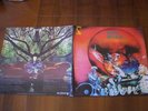 AMON DÜÜL II  TANZ DER LEMMINGE