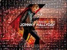 JOHNNY HALLYDAY TRIPLE VINYL  FLASHBACK TOUR 2006