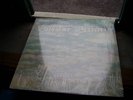 FUTURE FLIGHT SAME LP
