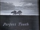 Perfect Touch Touching You Rare Modern Soul LP HEAR NM