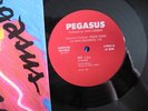 PEGASUS-FLY-12