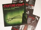 Counting Crows Recovering the Satellites Vinyl LP
