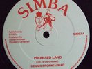 DENNIS BROWN / ASWAD Promised Land 12