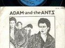 ADAM AND THE ANTS France press 7