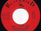 Funk 45 WILLIE WELCH What's Ever Fair on Blackbird