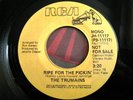 * TRUMAINS Ripe For the RARE RCA MODERN SOUL 45 ?