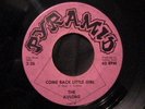 The Avlons 45 PYRAMID Come Back Little Girl RARE GARAGE