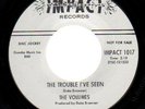 THE VOLUMES THAT SAME OLD FEELING/TROUBLE I'VE SEEN NM-