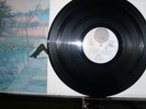 Affinity-Vertigo Swirl- VO 6360 004