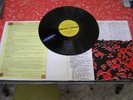 This Kind of Punishment Beard of Bees rare 1984 NZ lp