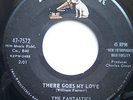 45 RPM -DOO WOP -THE FANTASTICS -THERE GOES MY...  HEAR