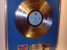 Erasure Wild Platin Schallplatte Record goldene