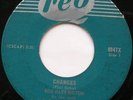 BOB HARRINGTON (Esquires) Changes RARE '66 Canada 45