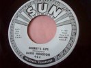 NM USA SUN 45 - DAVID HOUSTON - SHERRY'S LIPS - DJ COPY
