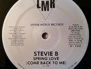 FREESTYLE - STEVIE B - SPRING LOVE (COME BACK TO ME) - LMR RECORDS ORIGINAL