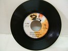 THE IN-BETWEENS  SUPERB 60'S BEAT PSYCH  