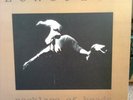 Lungfish - Necklace Of Heads LP dischord fugazi
