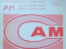 CAM - BONESCHI -THEMATICS, RHYTHMS & ABSTRACTISMS ??