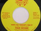 TRUE DESIRE When You Thought... ELECTRO/SOUL/BOOGIE 45