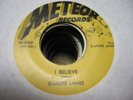 ELMORE JAMES I Believe/I Held My Baby Meteor 5000 Blues