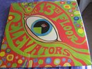13TH FLOOR ELEVATORS - 12 LP BOX SET - ALL BUT 1 LP NEW