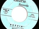 KATHY ZEE Buzzin 45 on LAURIE Rockabilly/Teen LISTEN