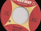 CAMPS Batmobile 45 on PARKWAY Rare GARAGE/SURF Listen