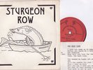 Sturgeon Row Friction+3 RARE 1979 Manchester post punk