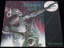 PARADISE LOST LOSTPARADISE LP 90 PEACEVILLE TOP ZUSTAND