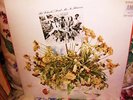 SEALED ?  1969 THE CHURLS   NO FLOWERS Garage NAZZ Punk
