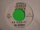 THE JUVENILES : Bo Diddley 1965 Garage Punk 45 LISTEN