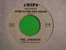 THE LINCOLNS : Come Along NW Garage Psych Mod 45 LISTEN