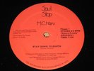 MC HARV stay down to earth SOUL STOP electro RAP 12
