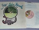 Peter Hammill -Chameleon in the Shadow LP (Gatefold)