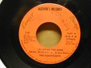 THE SIGNIFICANTS on ALESVER'S RARE 70'S FLORIDA SOUL 45