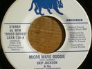 SKIP JACKSON deep disco 45 Micro Wave Boogie CATAMOUNT
